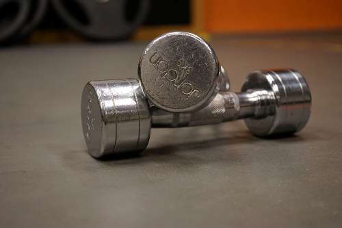 Why Do We Use Free Weights?